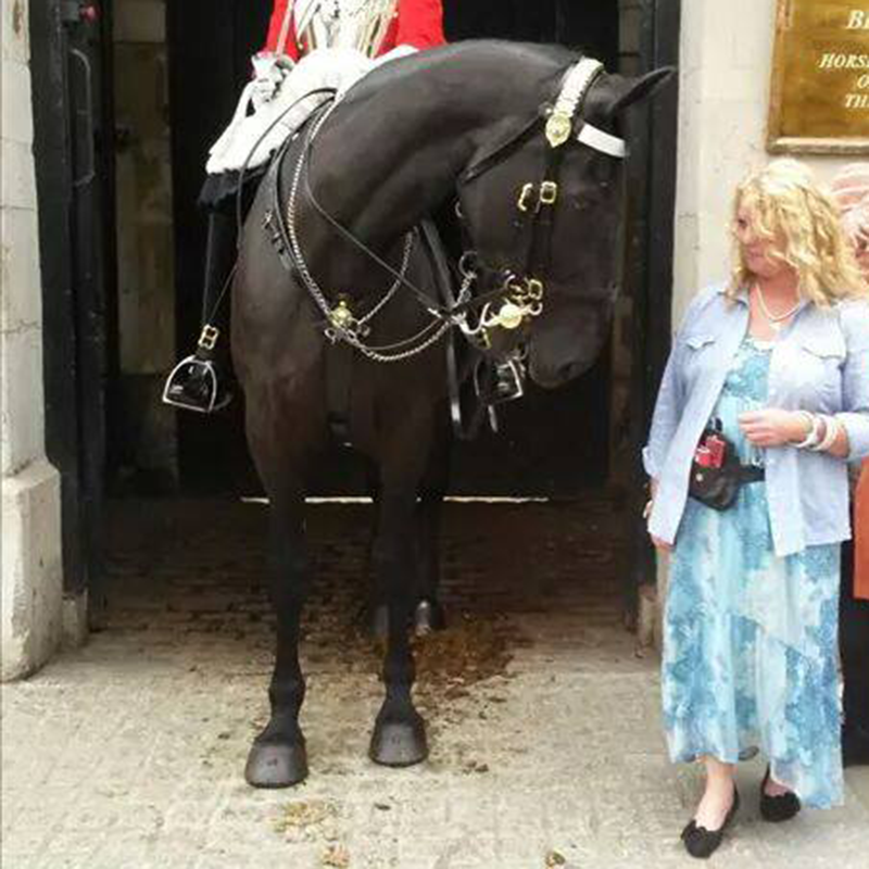 QueensHorse Talking to one of the Queen's horses