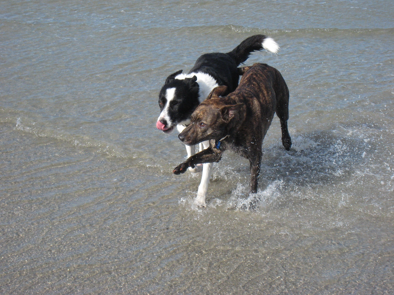 Testimonial - Meg, Lass and Eliza